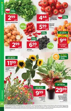 Stokrotka Gazetka od 24.07.2025 | Strona: 6 | Produkty: Maliny, Goździki, Jeżyny, Pomidory