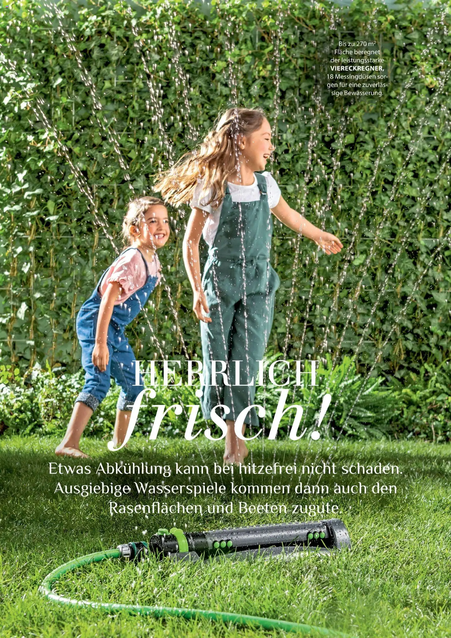 Dehner Flugblatt gültig ab 01.05.2026 | Seite: 62