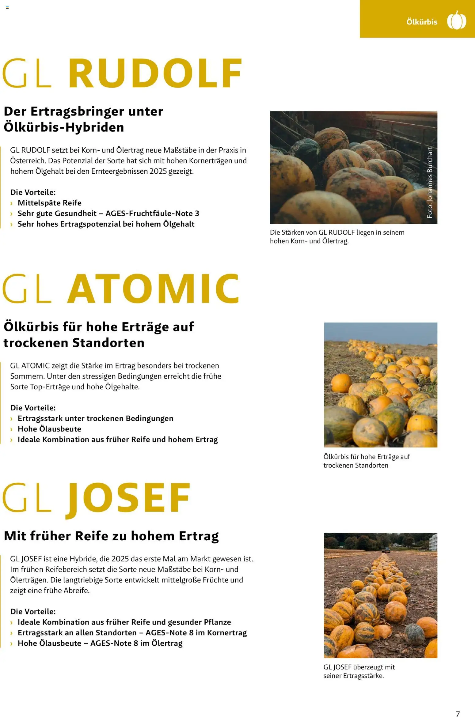 Lagerhaus - Frühjahr 2026 Östliches  Niederösterreich gültig ab 01.03.2026 | Seite: 7