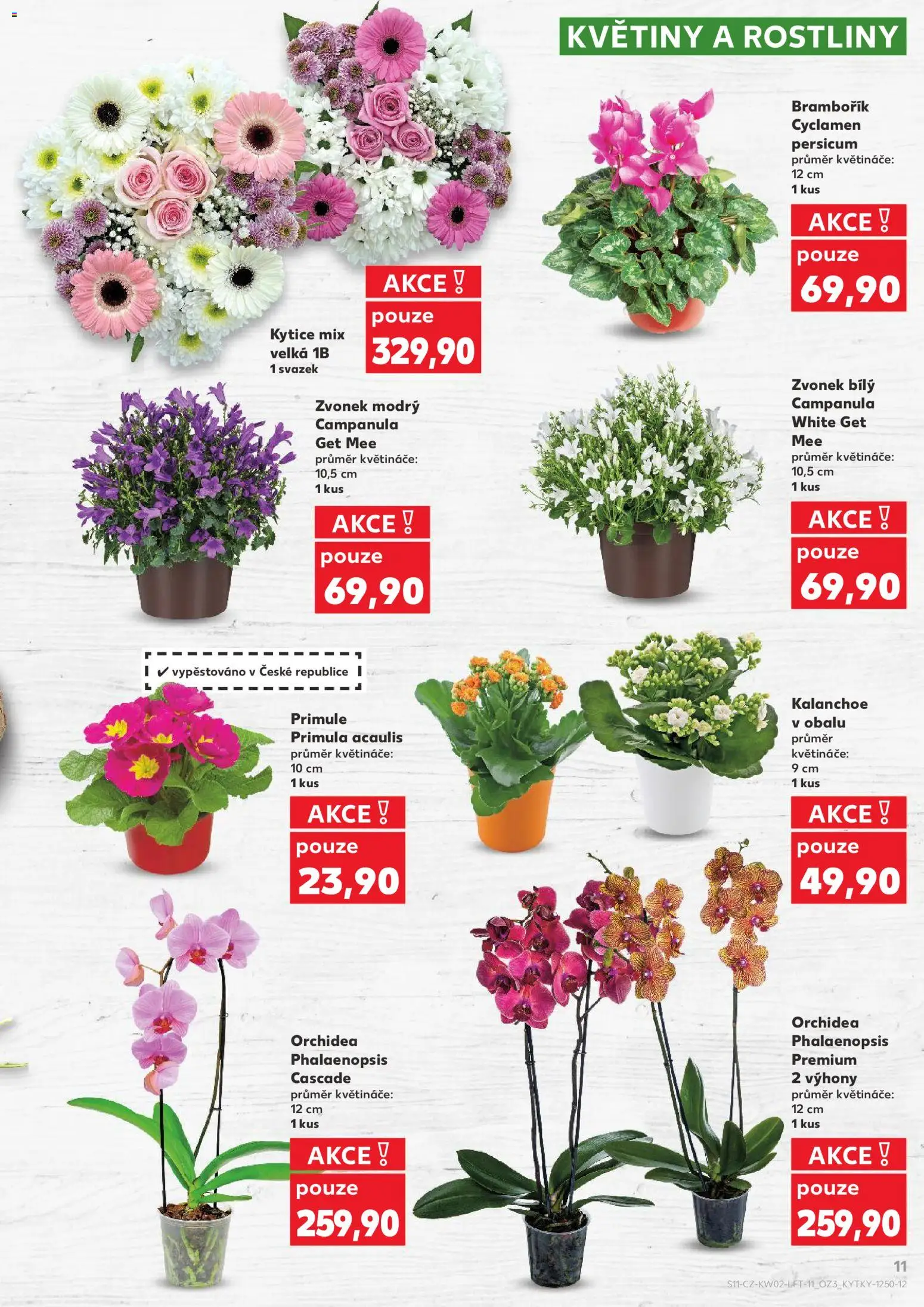 Kaufland leták - Praha 8 od 07.01.2026 | Strana: 11 | Produkty: Kalanchoe, Květináče, Kytice, Zvonek