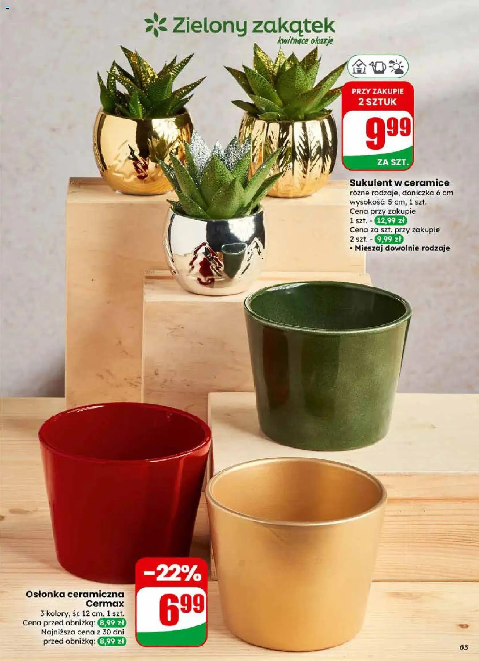 Dino Gazetka od 10.12.2025 | Strona: 63 | Produkty: Doniczka