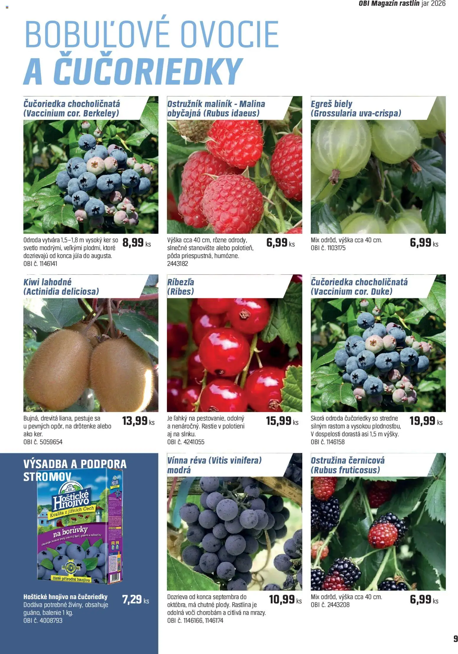 Nové OBI akcie – leták je platný od 15.04.2026 | Strana: 9 | Produkty: Svetlo, Čučoriedky, Jar