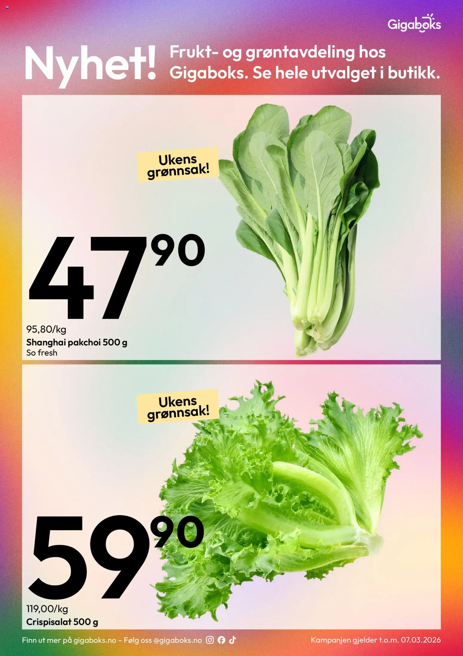 {H1} | Side: 8 | Produkter: Crispisalat