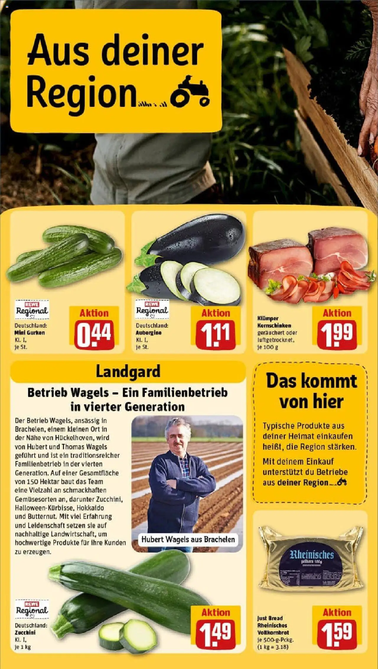 Rewe prospekt Cochem / Cond	 - gültig ab dem 27.07.2025 | Seite: 26 | Produkte: Vollkornbrot, Aubergine, Zucchini, Gurken