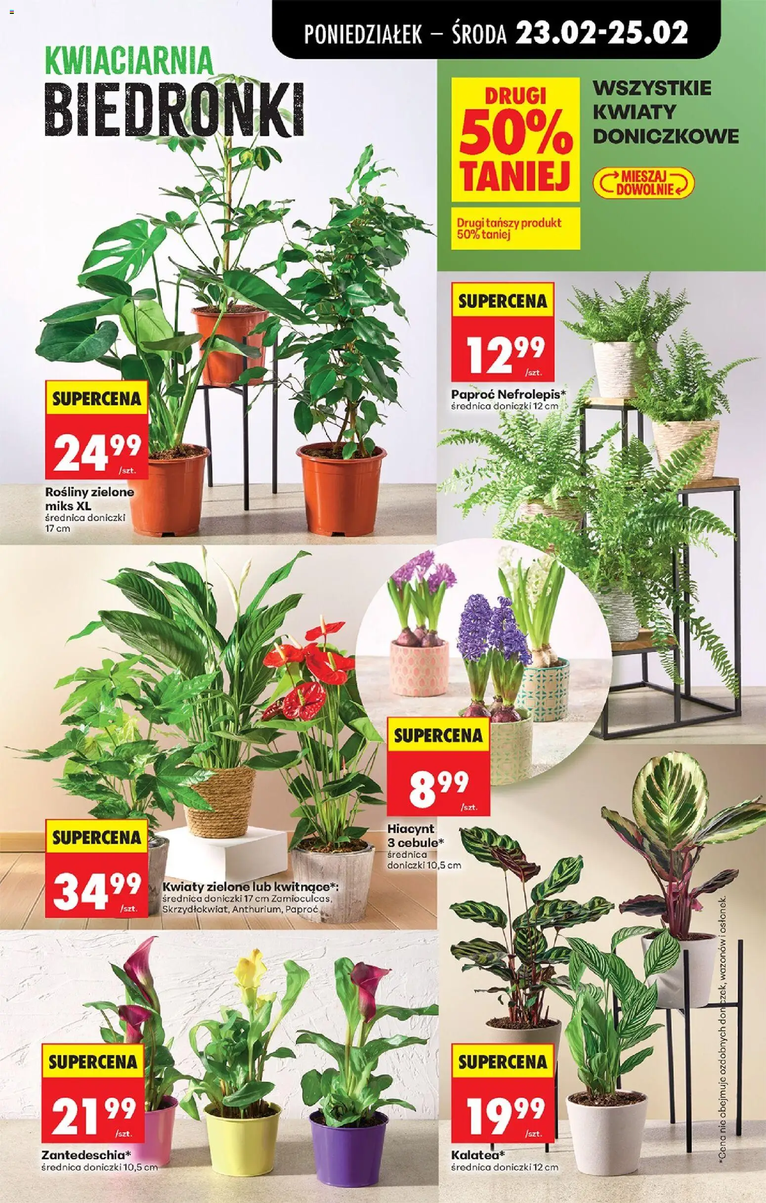 Biedronka gazetka od 23.02.2026 | Strona: 25
