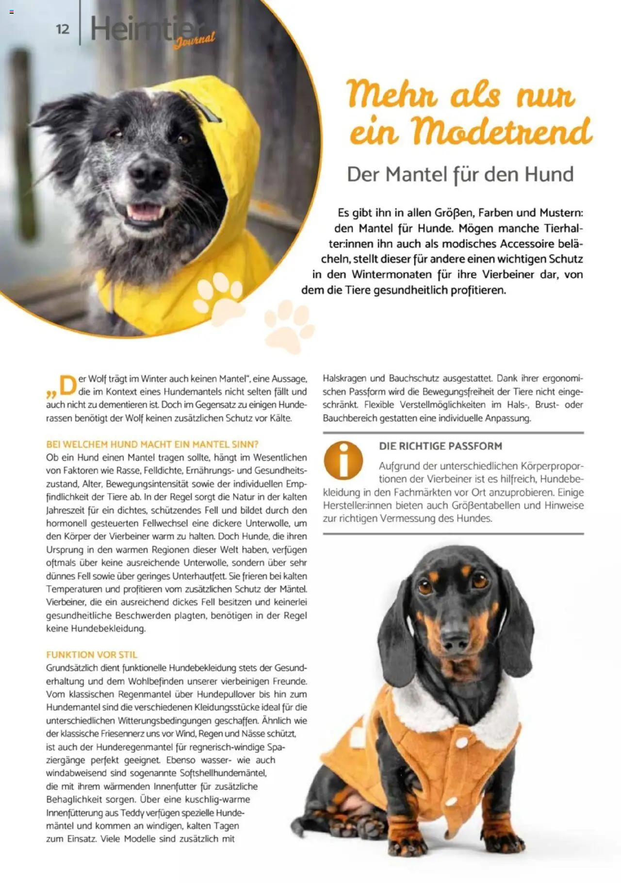 zookauf Heimtier Journal – gültig ab 01.10.2025 | Seite: 12 | Produkte: Wasser, Mantel