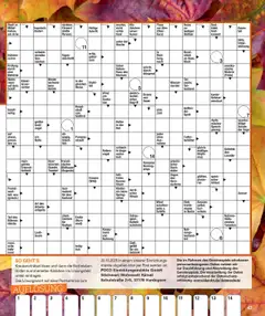 Poco Wohnwelt Herbst 2025 – gültig ab 01.09.2025 | Seite: 47 | Produkte: Spiel, Stuhl, Wasser, Kleid