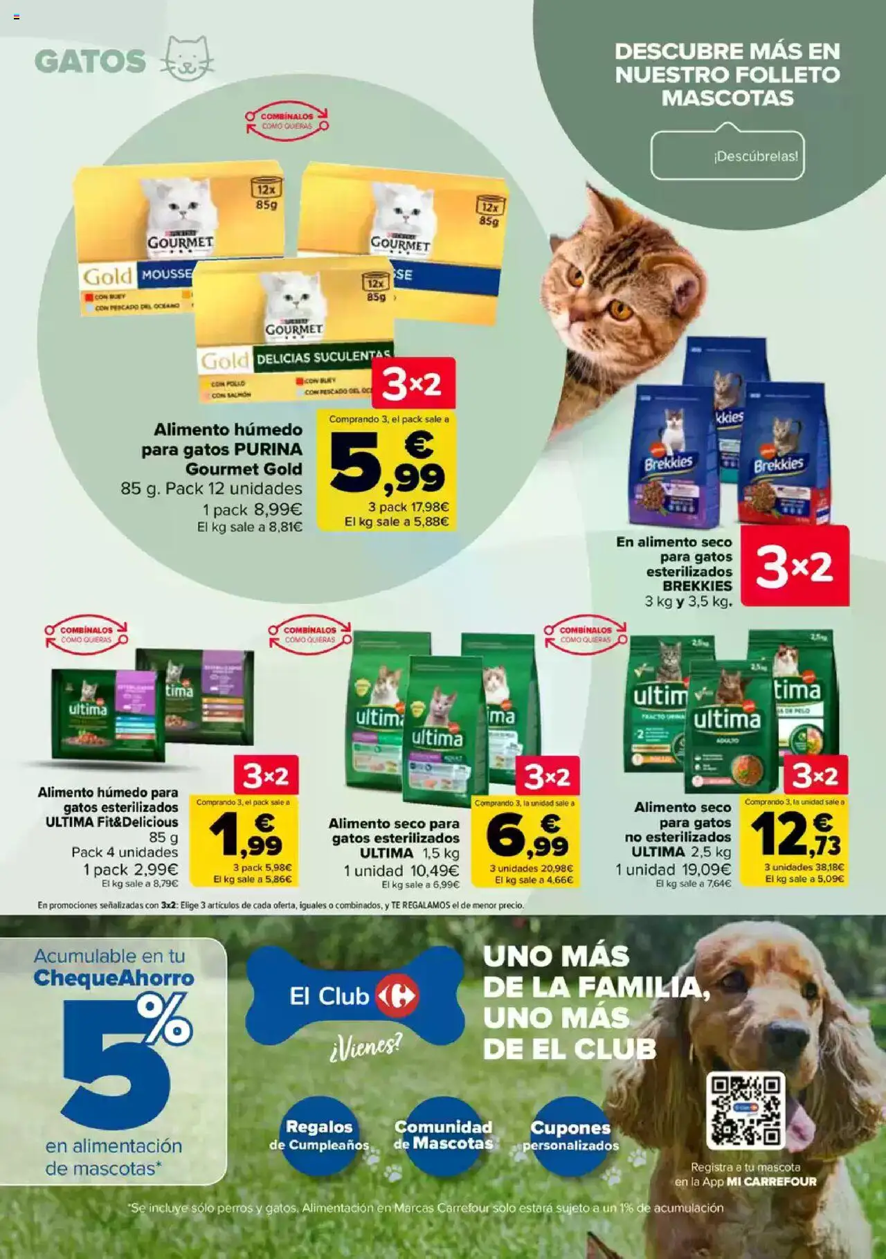 Carrefour folleto │ válido desde el 26.06.2025 | Página: 66 | Productos: Mousse, Pescado, Té
