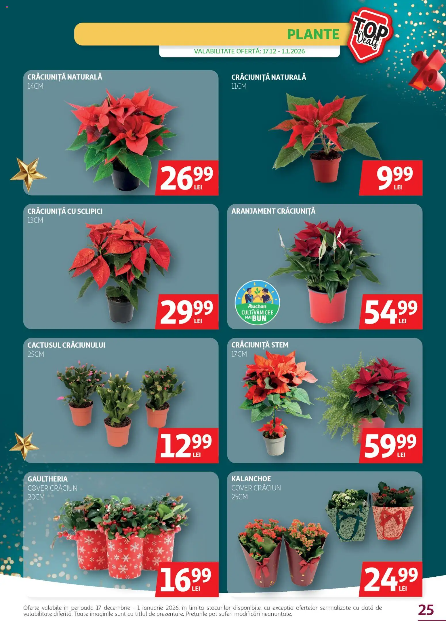 Noul catalog Auchan – valabil de la 17.12.2025 | Pagină: 25