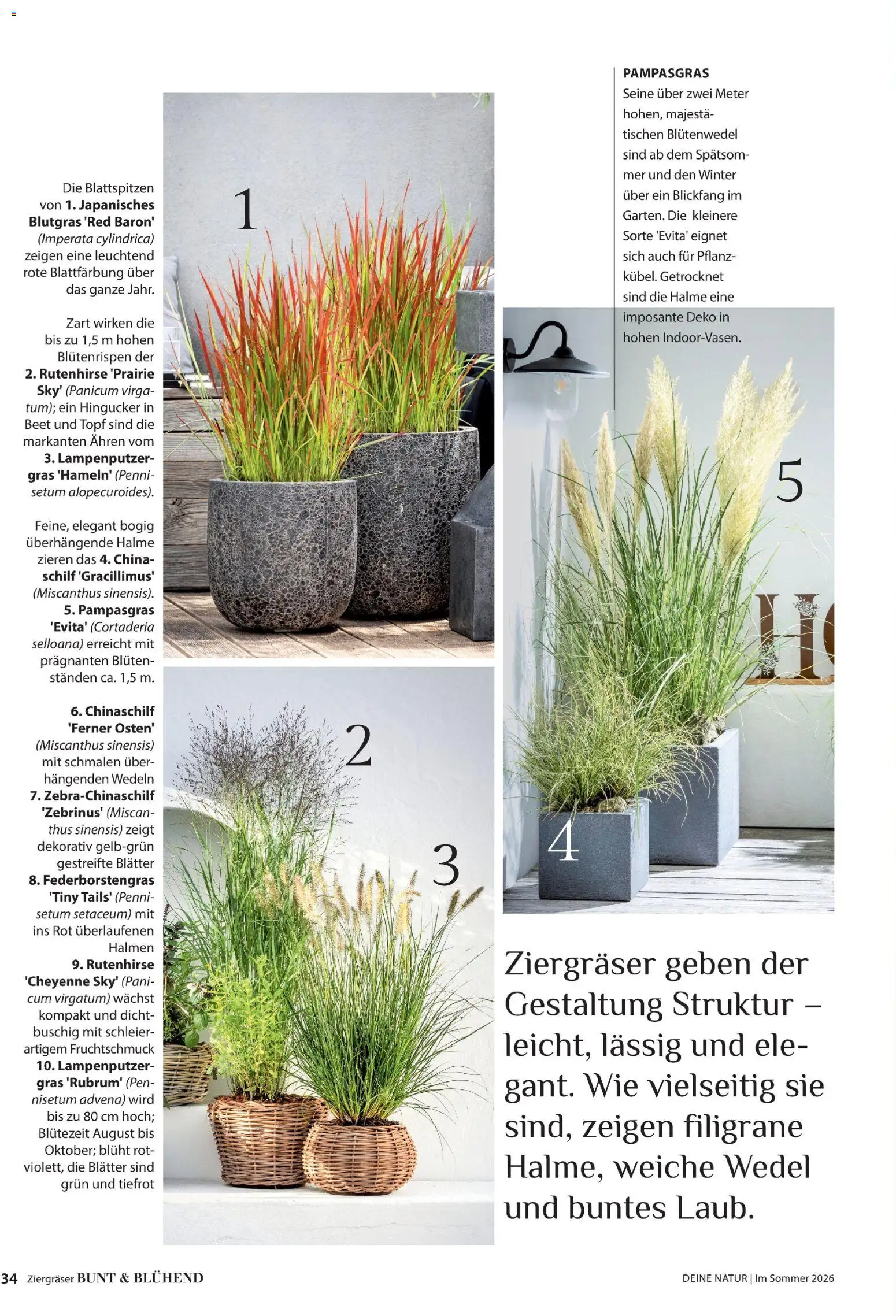 Dehner Prospekt 	 – gültig ab 17.04.2026 | Seite: 34