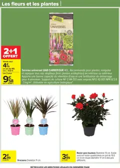  | Page: 84 | Produits: Rosier, Sac, Terreau Universel, Plantes