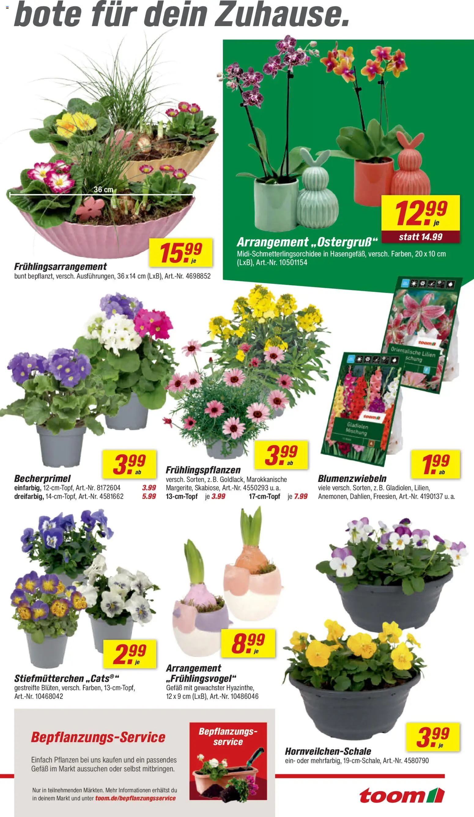 Toom Baumarkt Prospekt 	 – gültig ab 14.03.2026 | Seite: 7 | Produkte: Stiefmutterchen