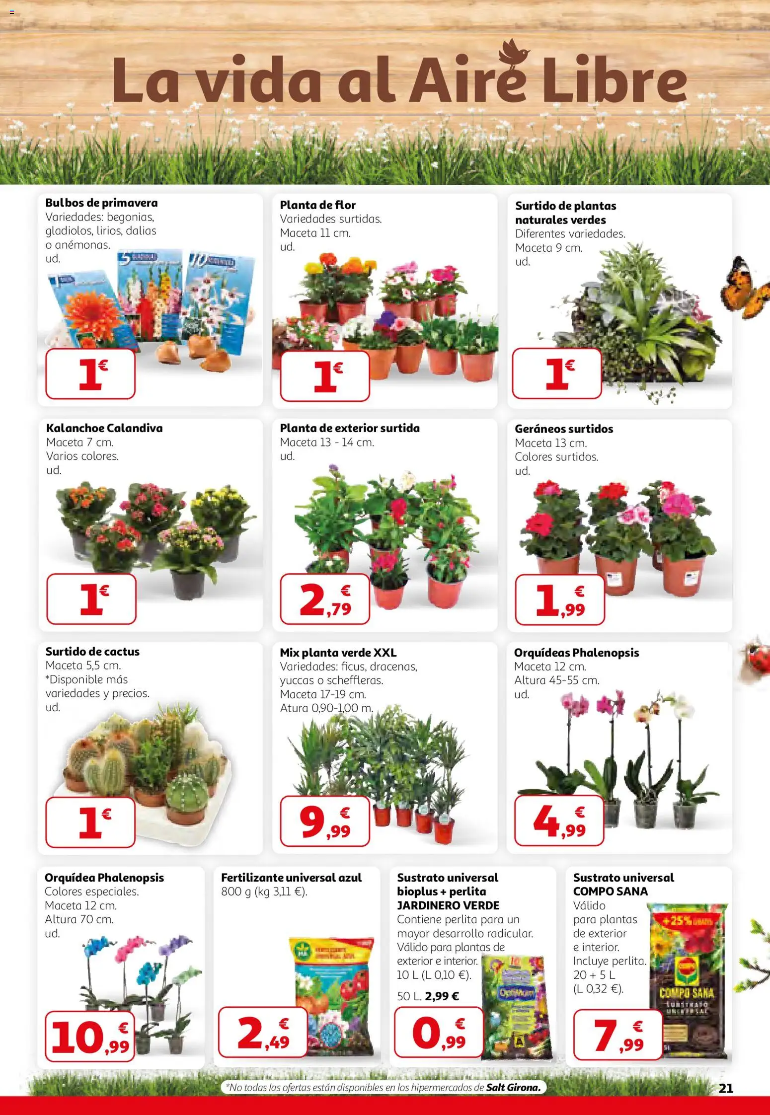 HP Nacional │ válido desde el 26.02.2026 | Página: 21 | Productos: Maceta