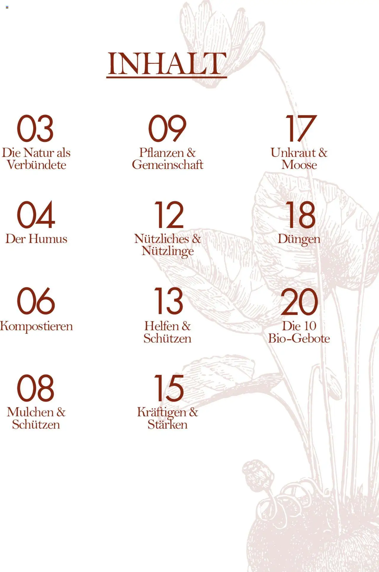 bellaflora Flugblatt gültig ab 24.06.2022 | Seite: 2