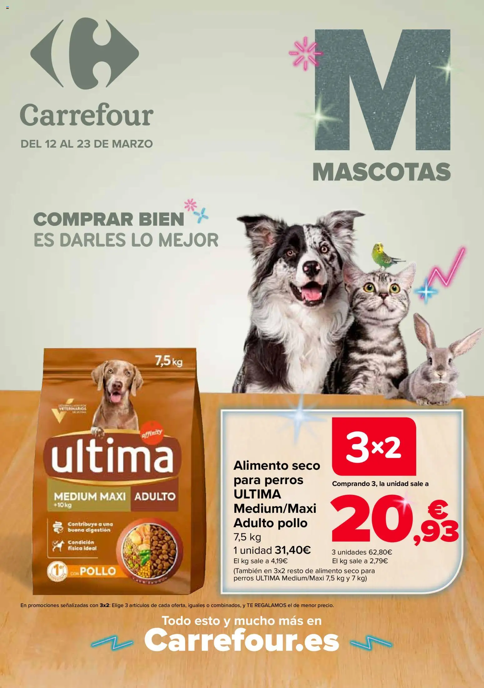 Carrefour Mascotas │ válido desde el 12.03.2026 | Página: 1 | Productos: Té