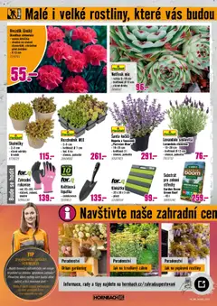 HORNBACH leták - Okrasné rostliny od 11.06.2025 | Strana: 4 | Produkty: Klekátko, Rukavice, Lopatka, Květináč
