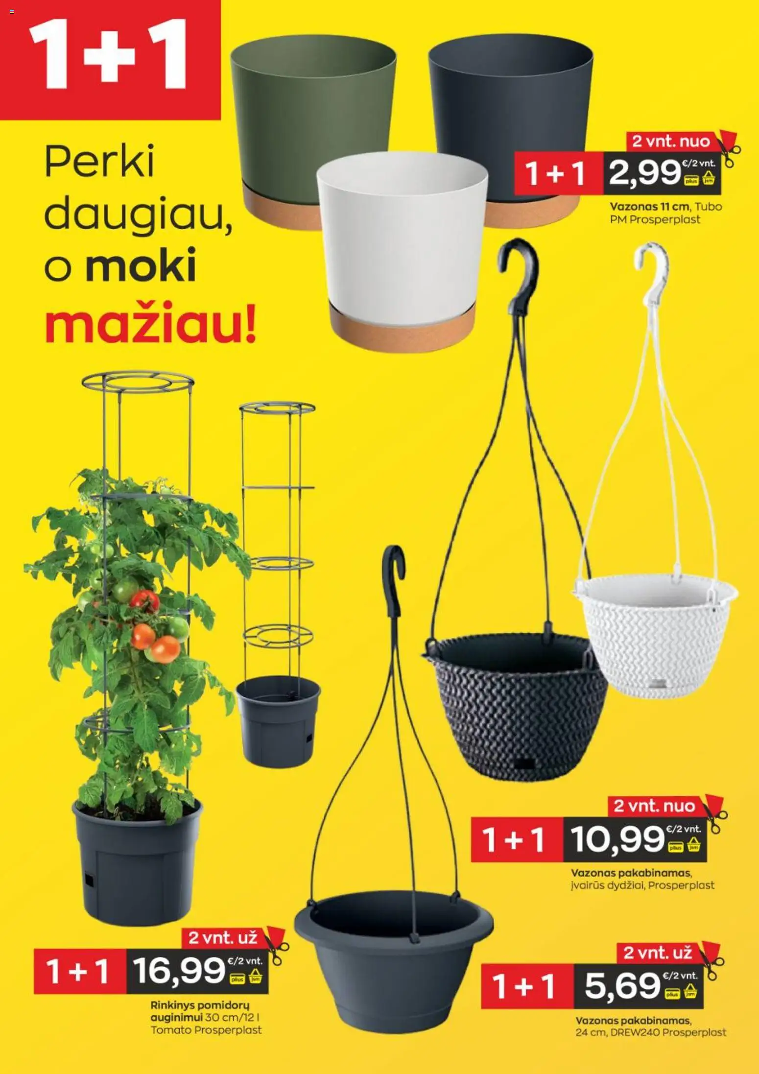 Jupoja akcijos nuo 08.04.2026 | Puslapis: 4 | Prekių: Vazonas