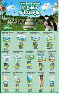 18.12.2025 tarihinden itibaren geçerli olan CarrefourSA kataloğu önizlemesi | Sayfa: 17