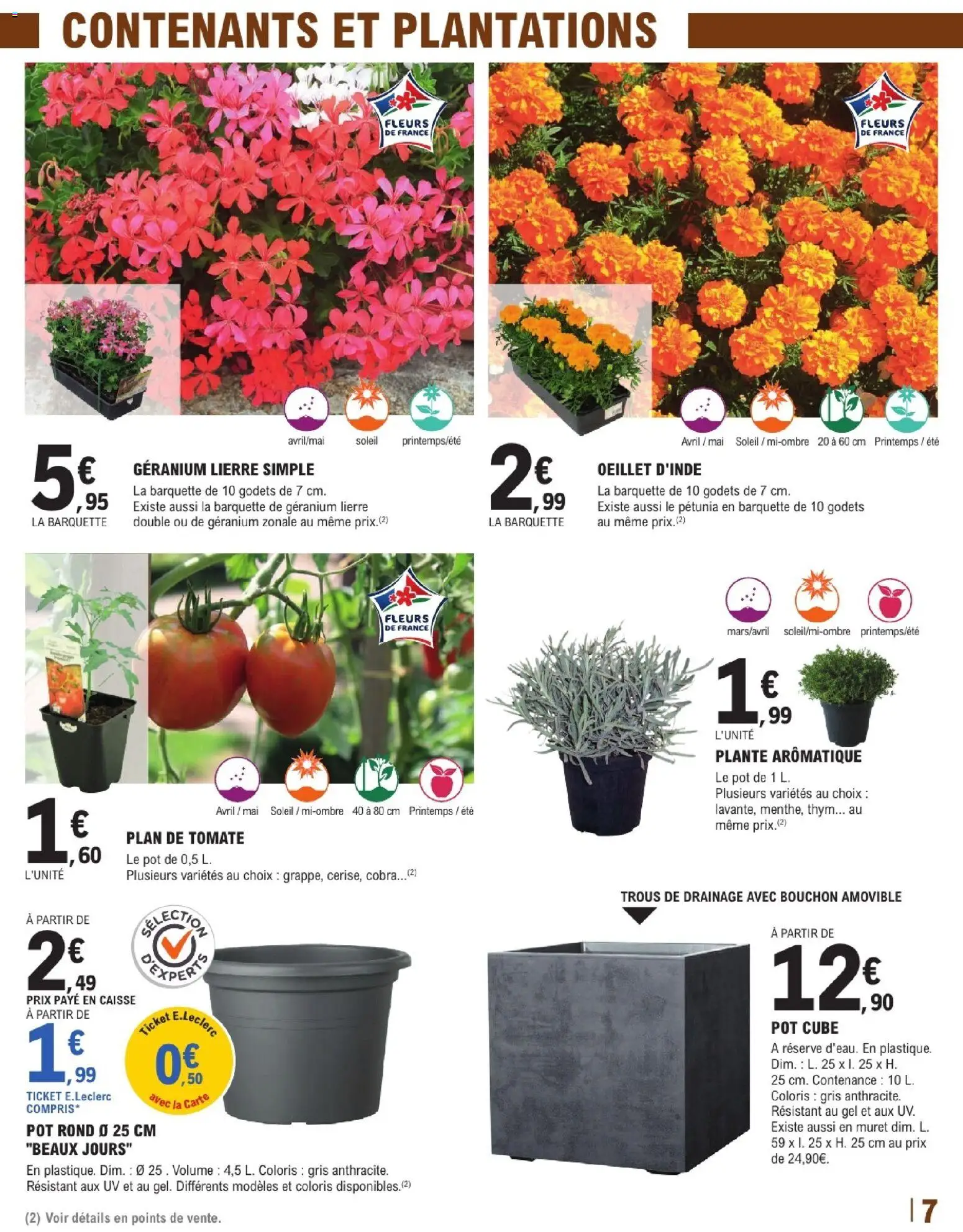 {H1} | Page: 7 | Produits: Géranium