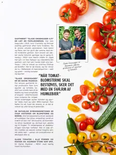 Meny Tilbudsavis gyldig fra 01.08.2025 | Side: 7 | Produkter: Tomater, Agurker, Søm
