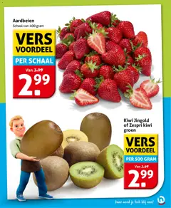Hoogvliet folder - Voorbeeld van een folder van Hoogvliet, geldig van 04.03.2026 | Pagina: 7 | Producten: Aardbeien, Kiwi, Schaal