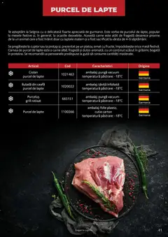 Ofertele Selgros valabile de la 25.03.2026 | Pagină: 41 | Produse: Pungă, Grill, Masă, Cutie