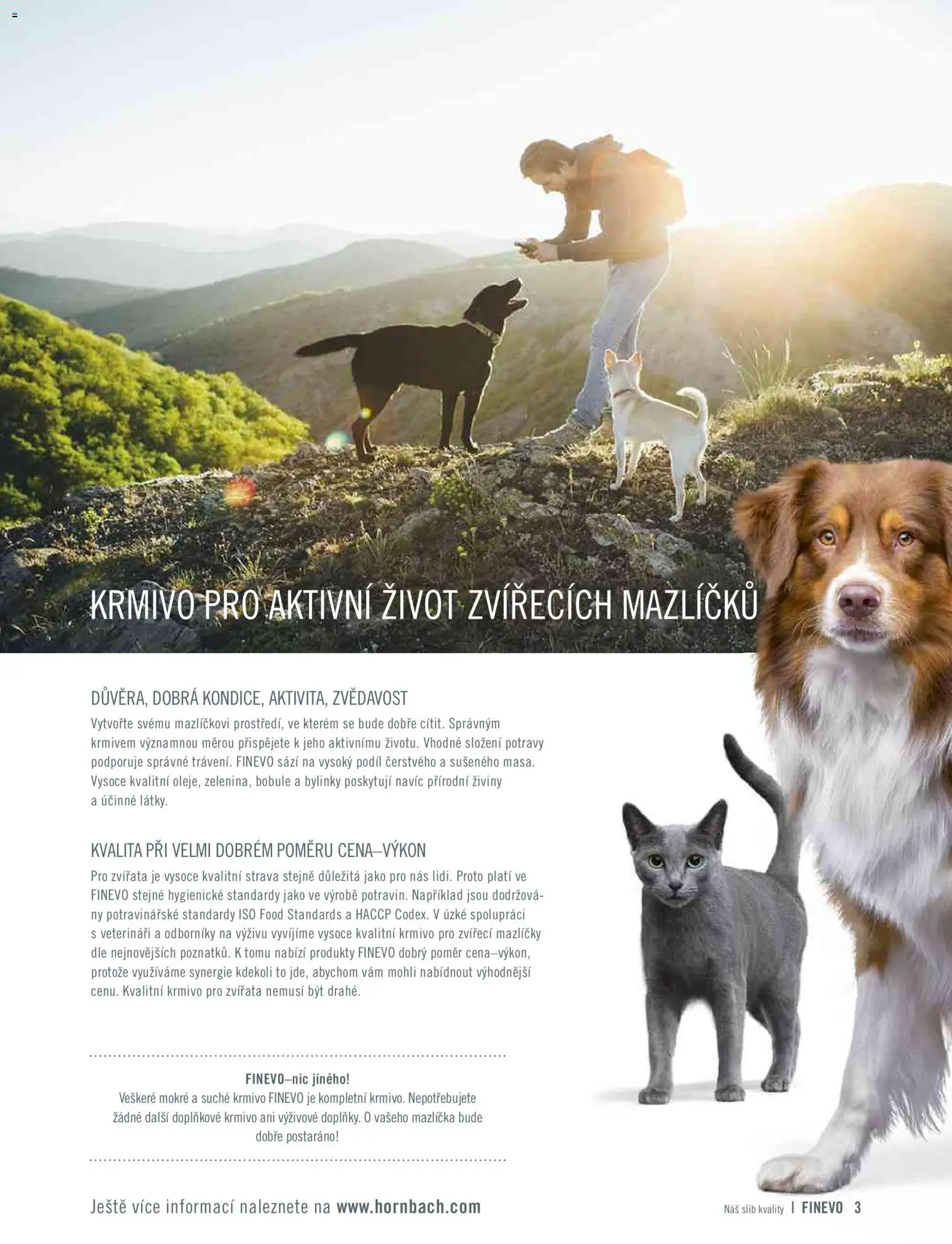 HORNBACH leták - Finevo od 01.01.2026 | Strana: 3