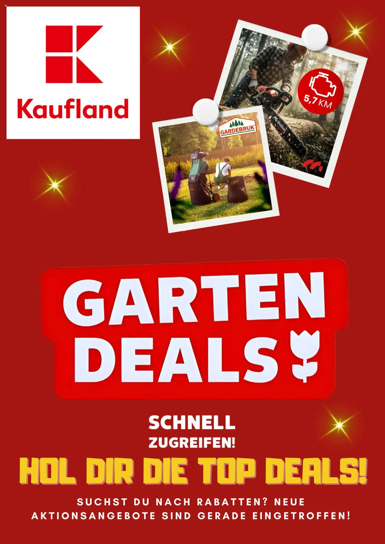 Kaufland Flugblatt gültig ab 20.02.2026 | Seite: 1