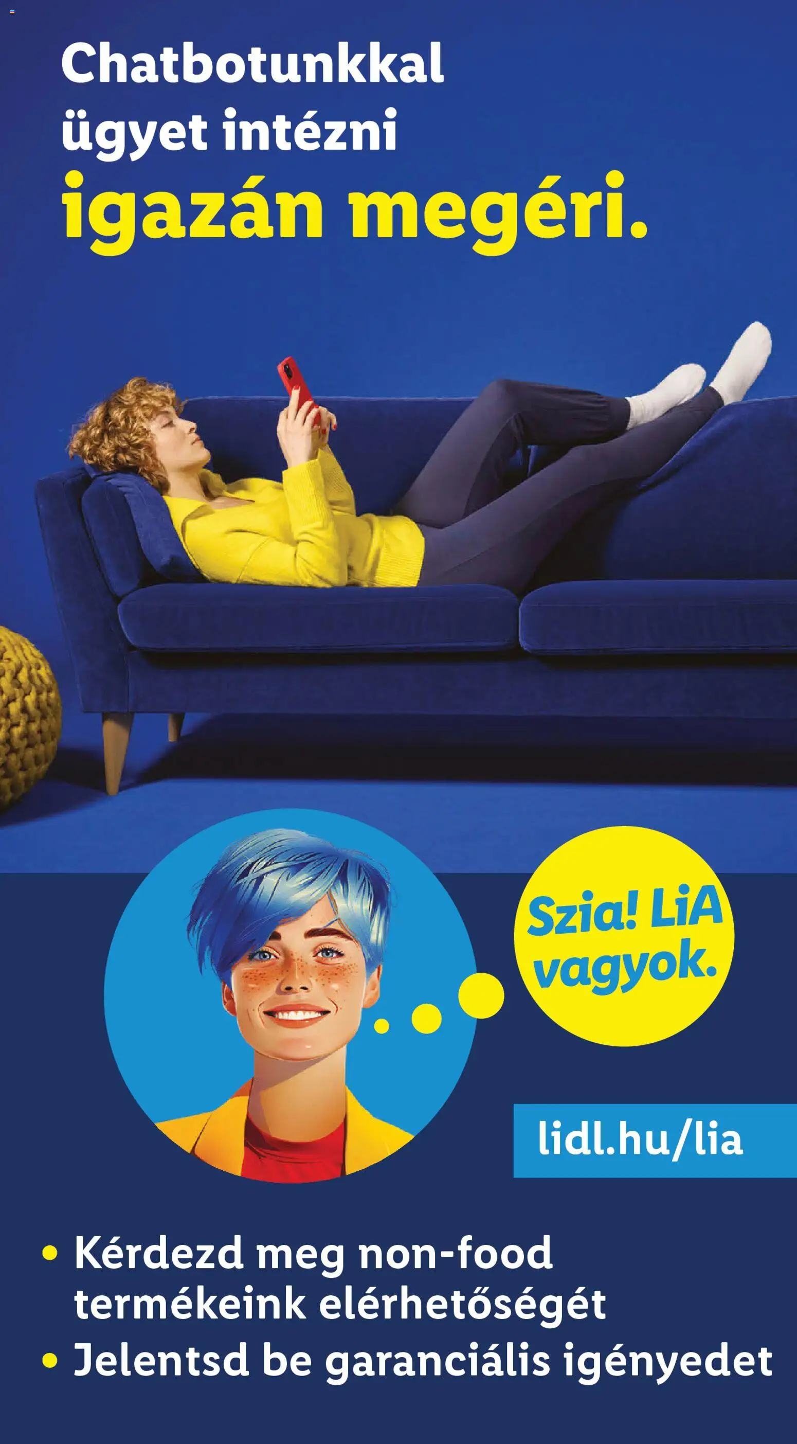 Lidl akciós ujság - amely érvényes a következő dátumtól: 19.02.2026 | Oldal: 26