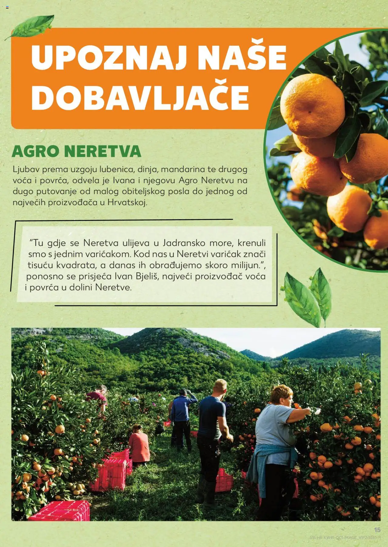 Kaufland katalog | vrijedi od 08.10.2025 | Stranica: 15 | Proizvodi: Mandarina