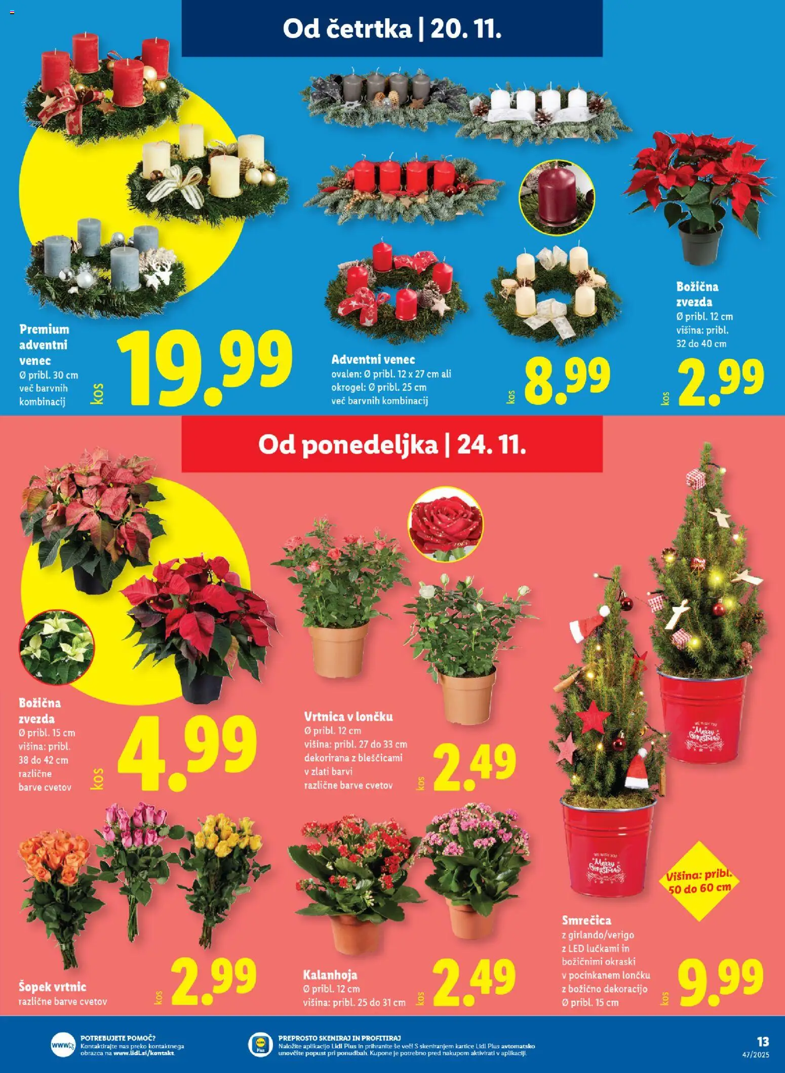 Novi Lidl katalog ponudbe – veljaven od 24.11.2025 | Stran: 17 | Izdelki: Šopek