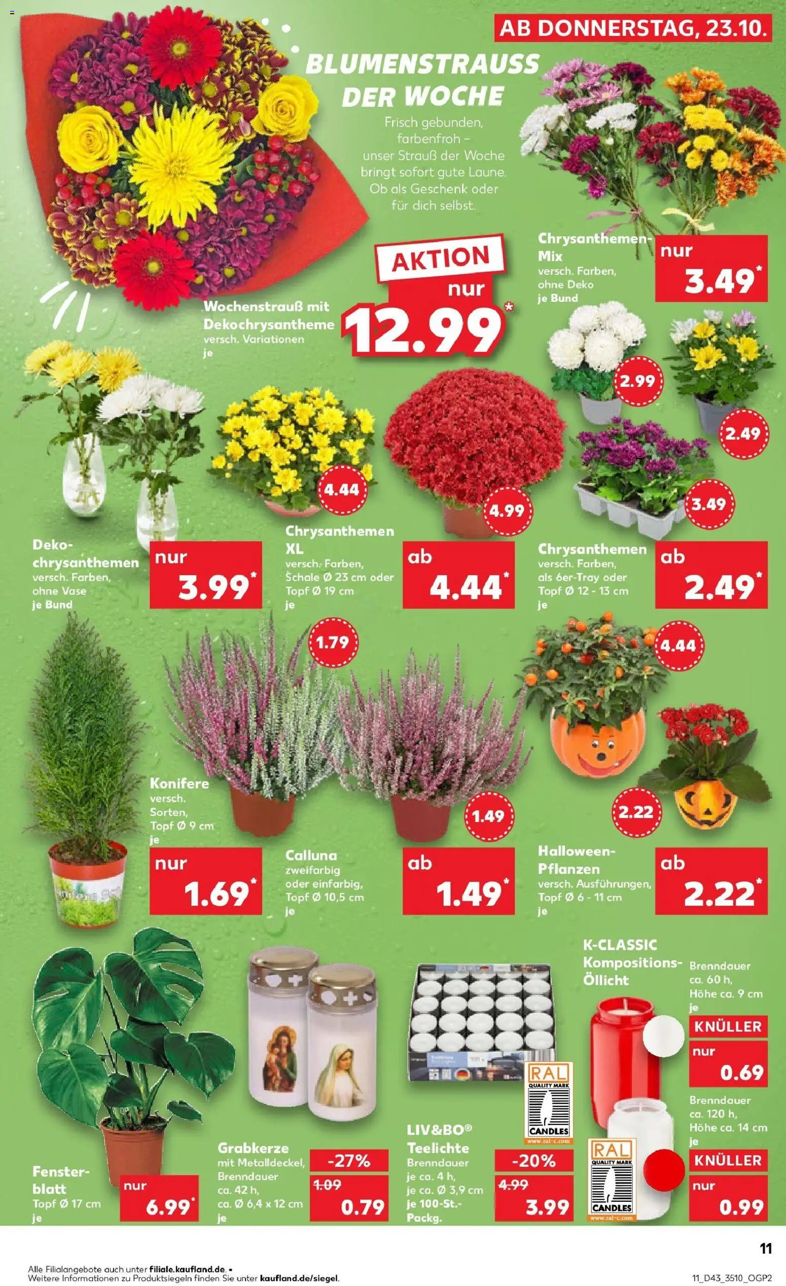 Kaufland prospekt Greifswald	 – gültig ab 27.10.2025 | Seite: 11 | Produkte: Vase