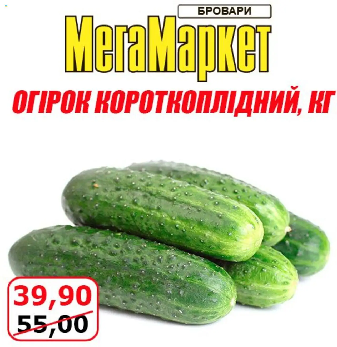 Мегамаркет Kаталог - дійснийкції з 01.08.2025 | Сторінка: 2