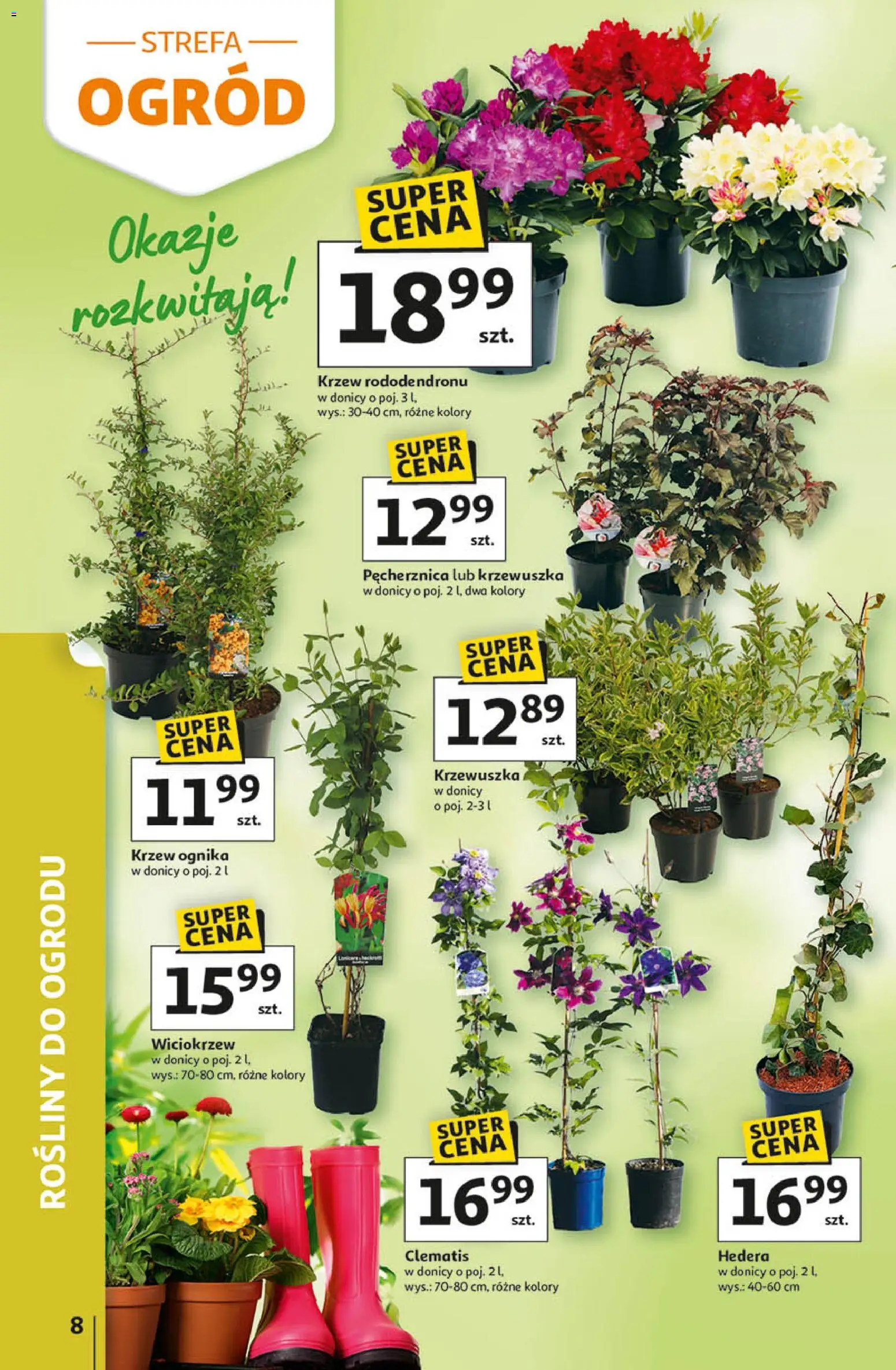 Auchan - Gazetka 30 Lat Hipermarket  od 09.04.2026 | Strona: 8 | Produkty: Rosliny