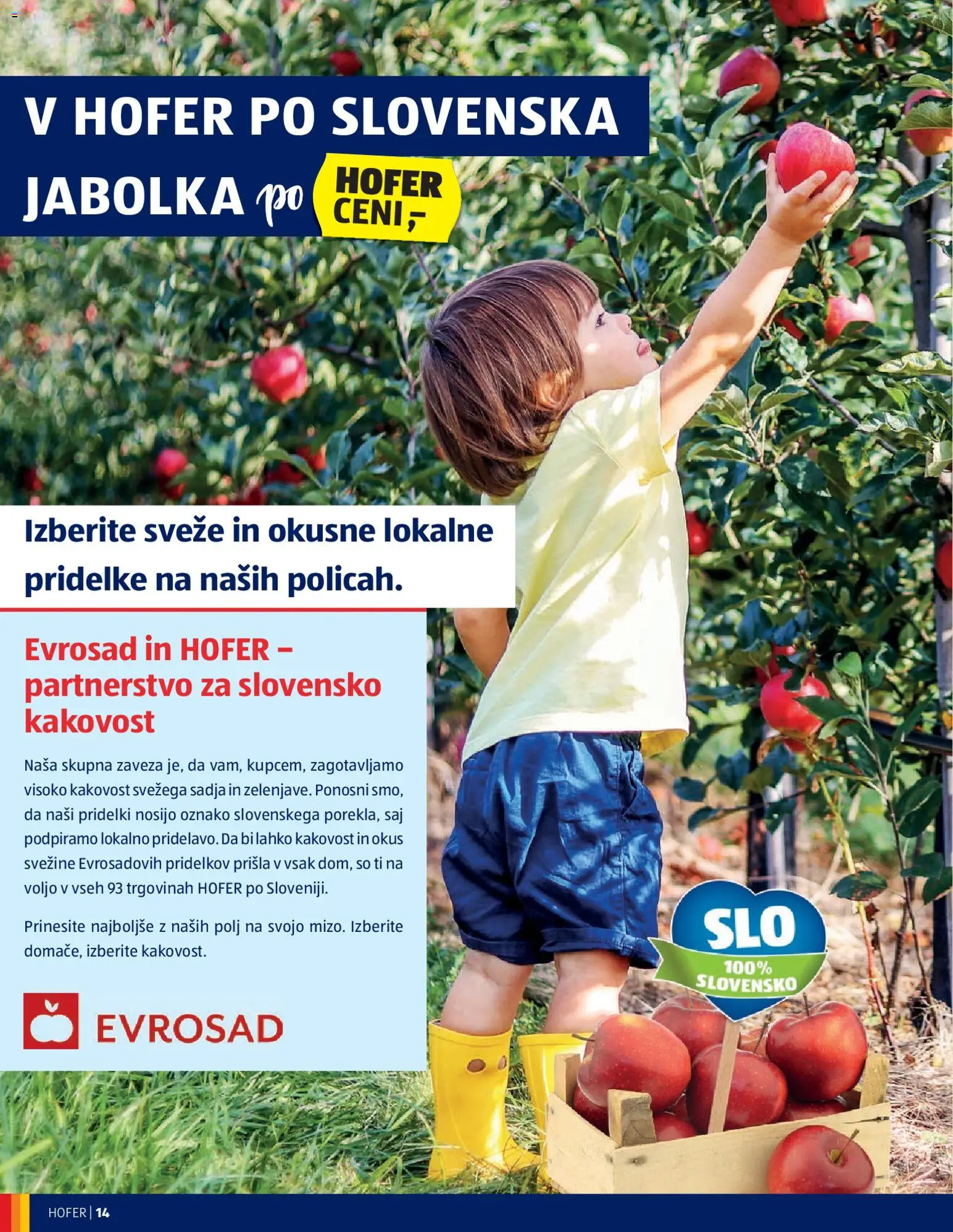 Novi Hofer katalog ponudbe – veljaven od 18.02.2026 | Stran: 14 | Izdelki: Jabolka