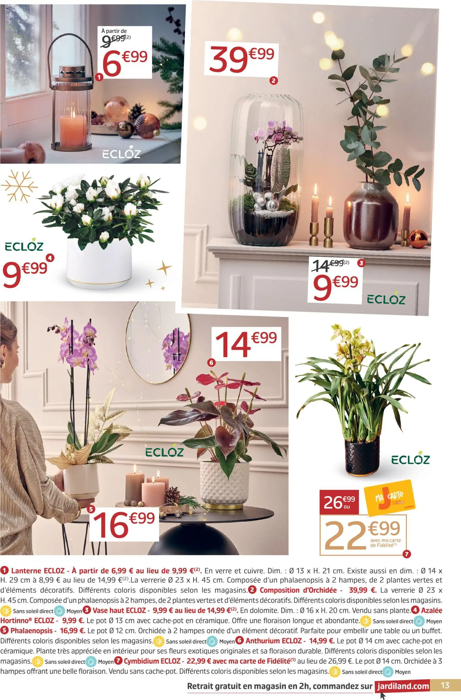 {H1} | Page: 13 | Produits: Plantes, Table, Orchidée, Vase