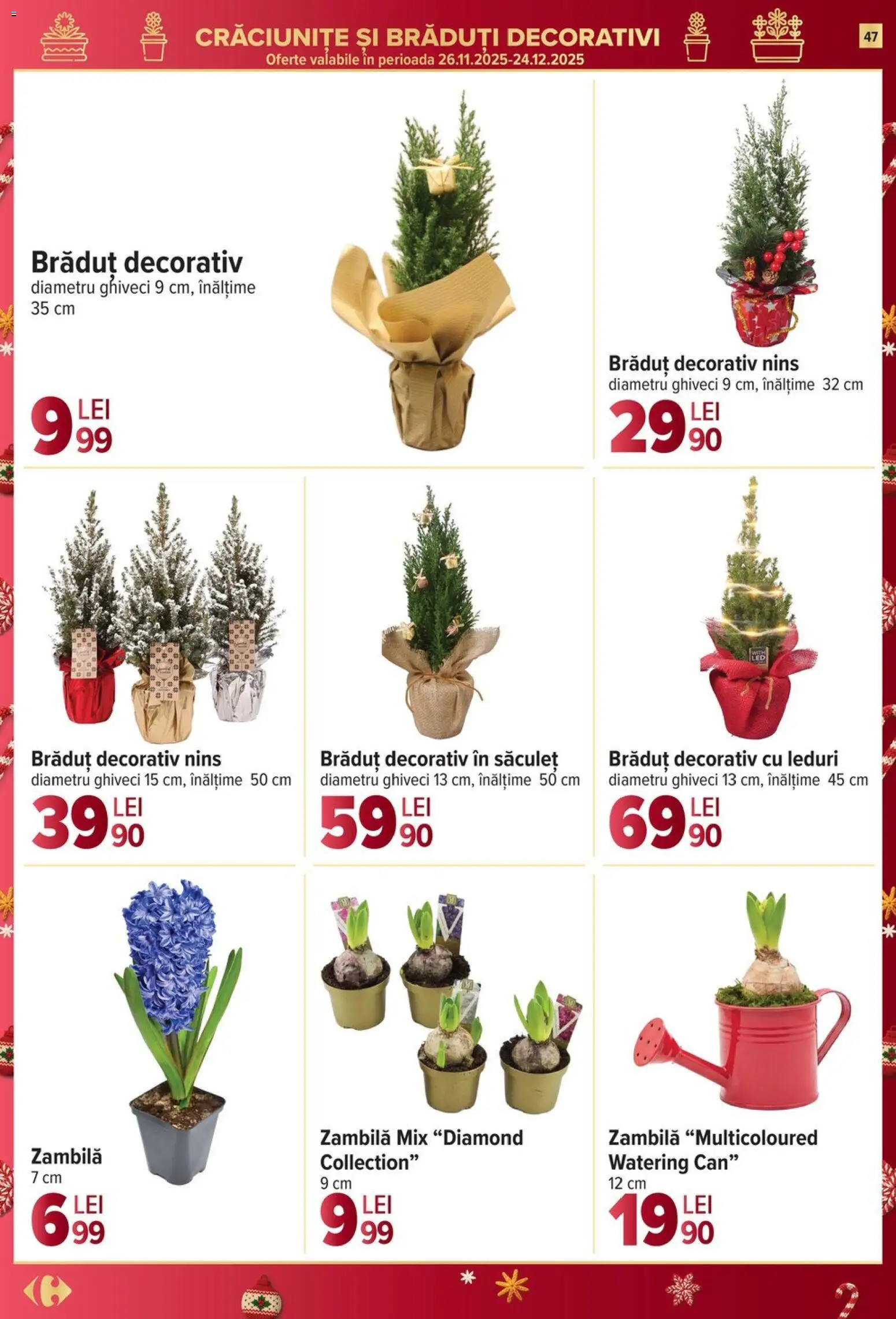 Noul catalog Carrefour – valabil de la 10.12.2025 | Pagină: 47 | Produse: Ghiveci