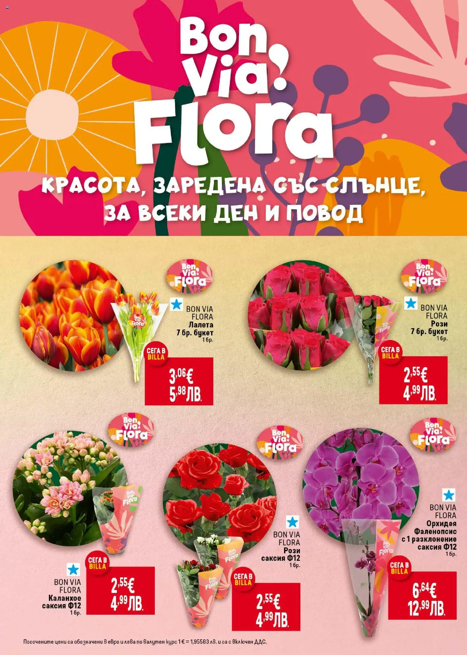 {H1} | Страница: 10 | Продукти: Орхидея, Повод, Саксия