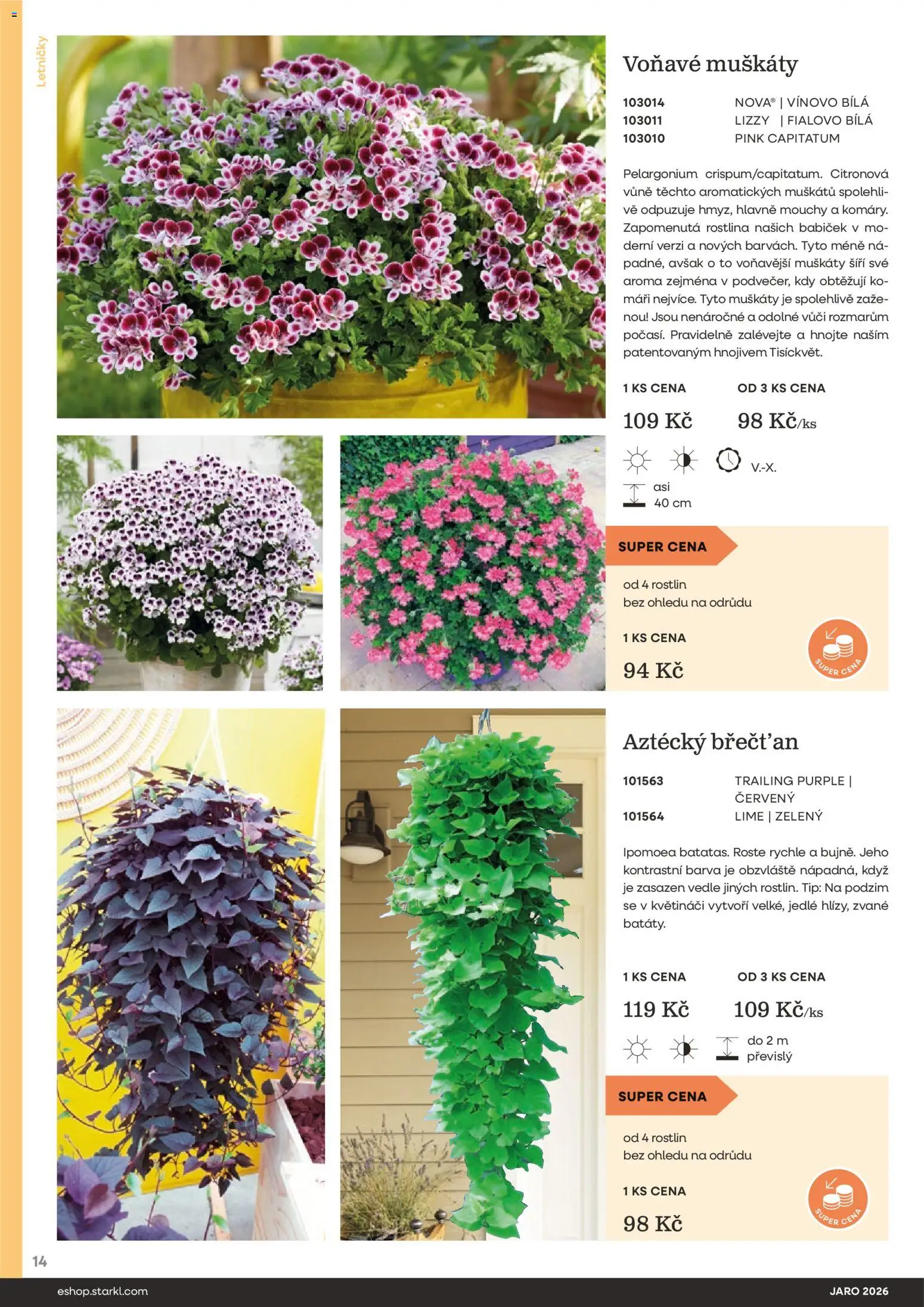 Starkl katalog Jaro 2026 od 25.02.2026 | Strana: 14 | Produkty: Muškáty