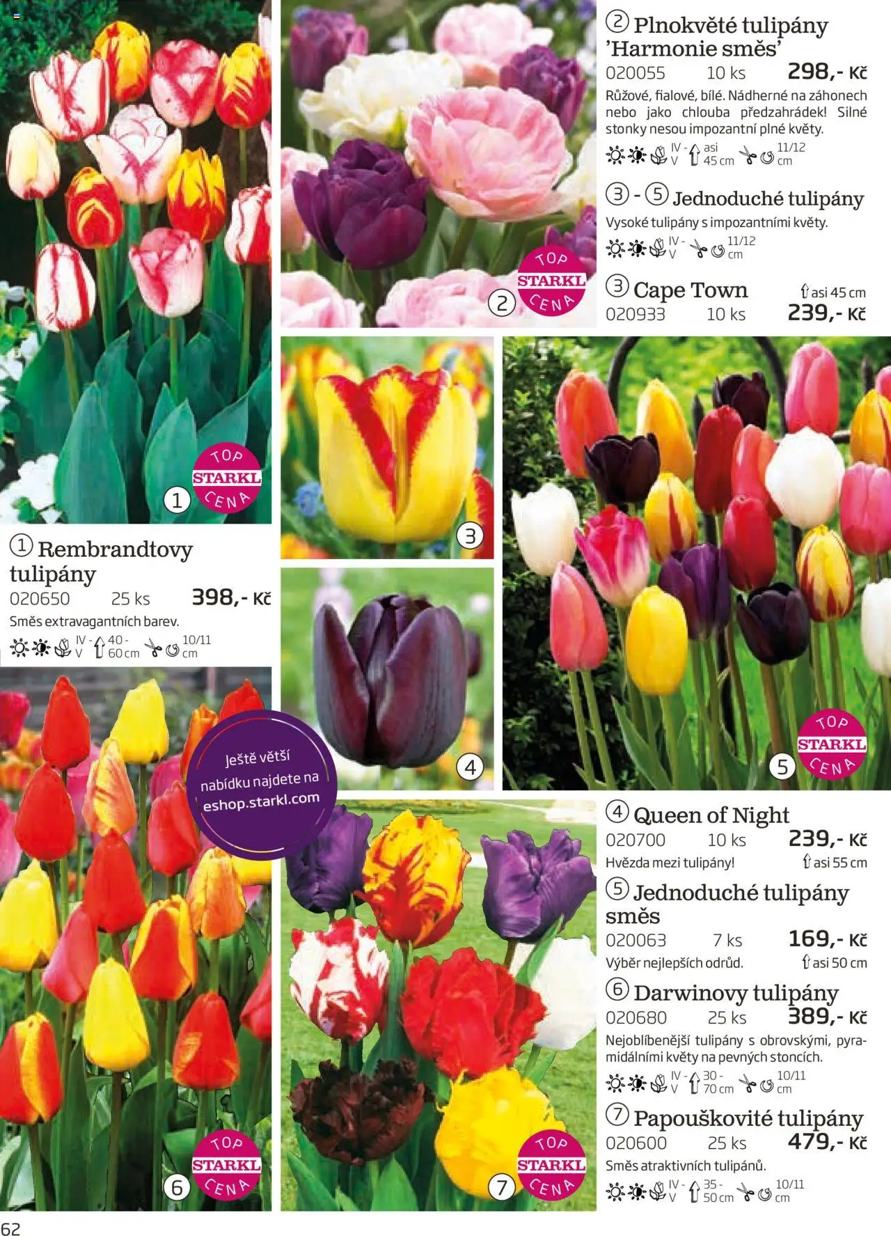 Starkl katalog podzim 2025 od 01.08.2025 | Strana: 62 | Produkty: Tulipány