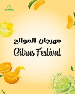 Preview of Istanbul Supermarket - Offers valid from 03.01.2026