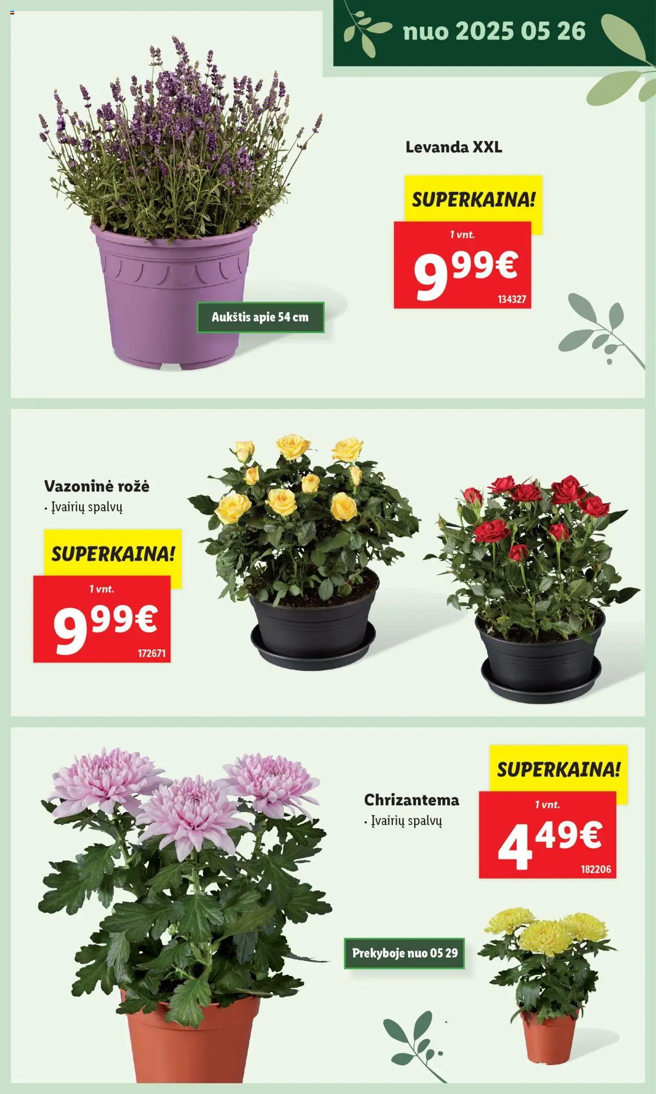 LIDL leidinys - Švenčiame sodą│galioja nuo 12.05.2025 | Puslapis: 23