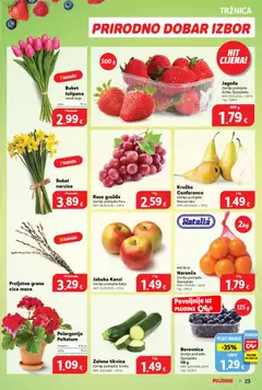 Katalog Plodine - Pregled kataloga iz trgovine Plodine, vrijedi od 01.04.2026 | Stranica: 31 | Proizvodi: Borovnica, Grožđe, Kruška, Jabuka