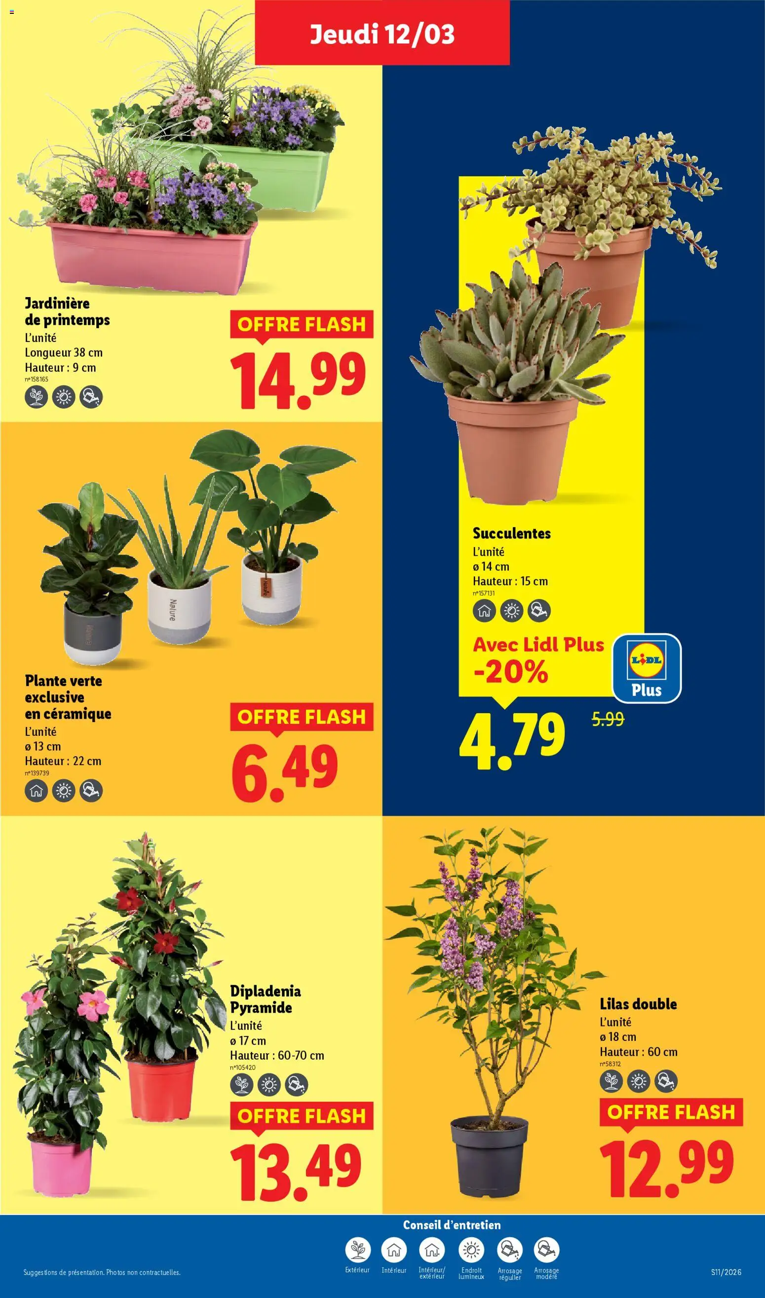 {H1} | Page: 27 | Produits: Jardinière, Dipladénia, Plante verte