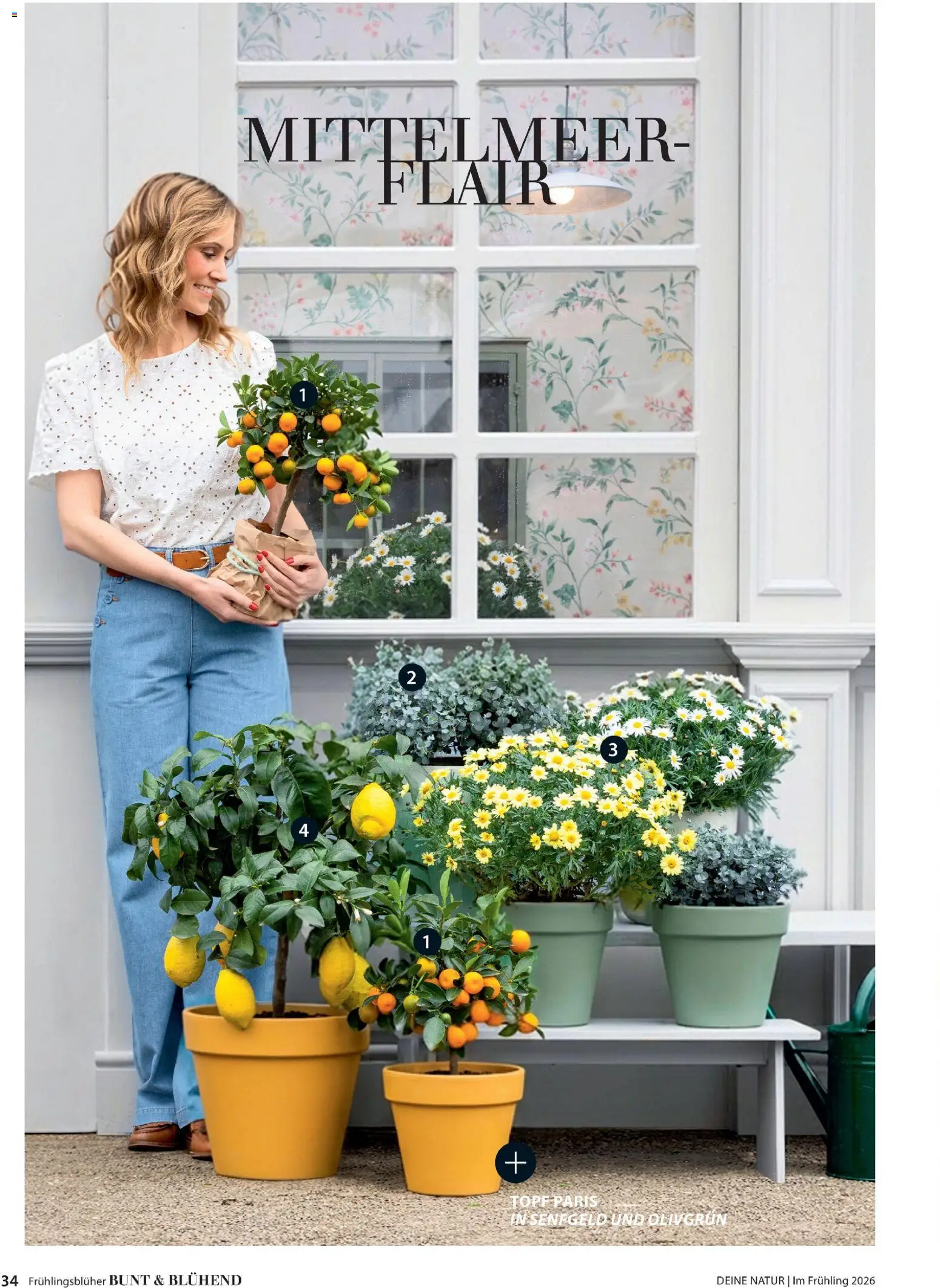 Dehner Flugblatt gültig ab 05.03.2026 | Seite: 34