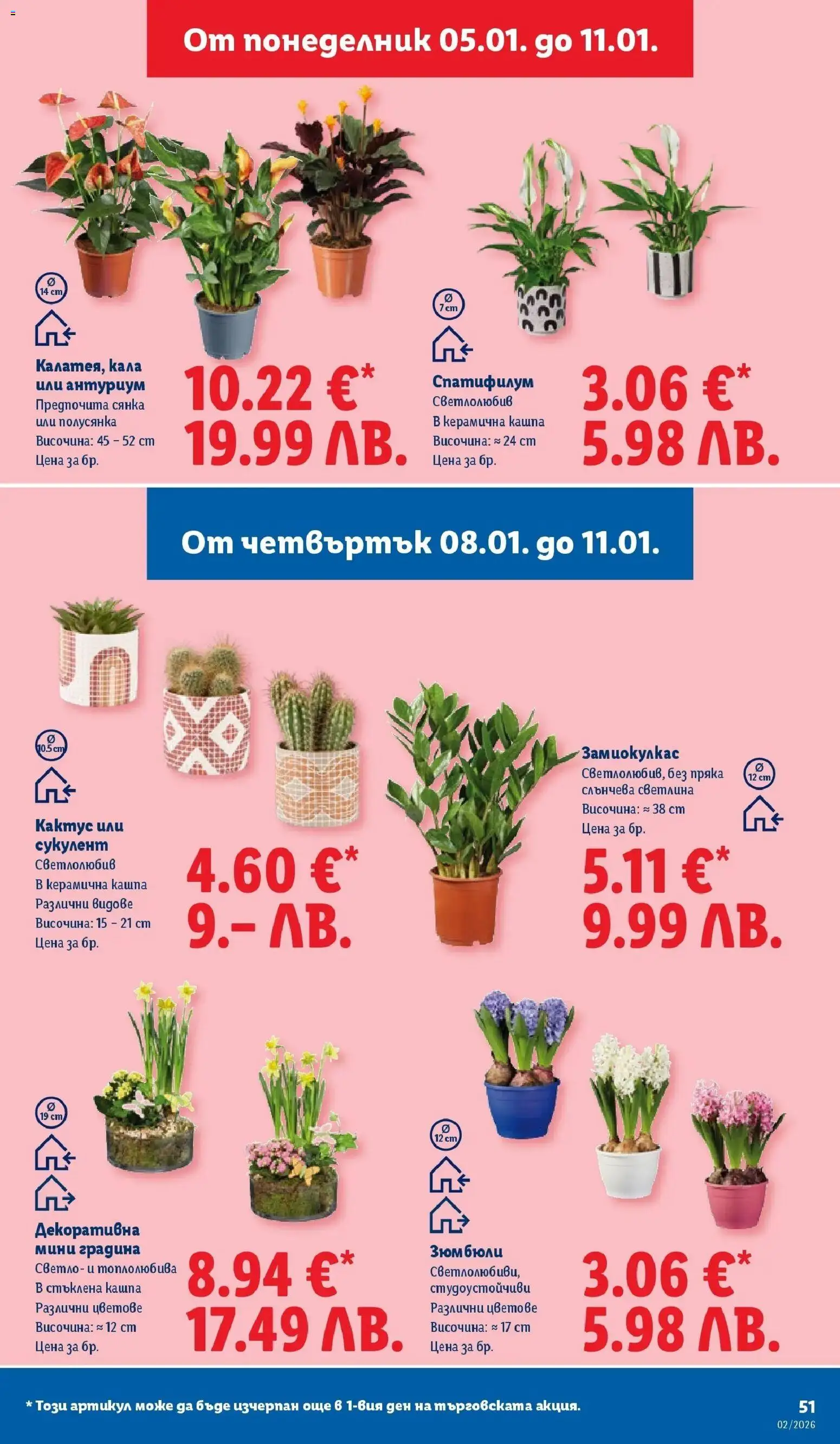 {H1} | Страница: 51 | Продукти: Кашпа