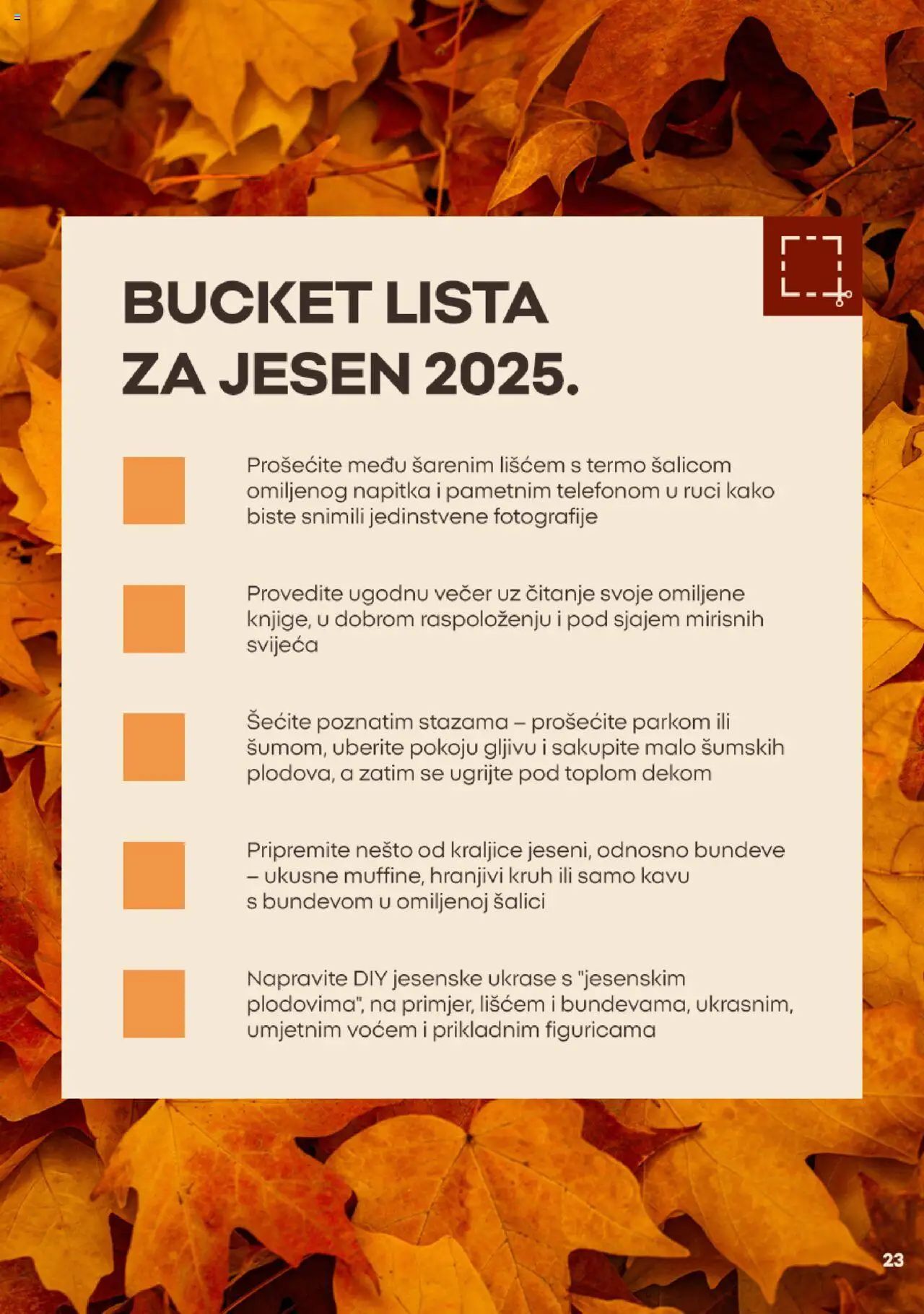 Pepco katalog | vrijedi od 03.10.2025 | Stranica: 23 | Proizvodi: Kruh