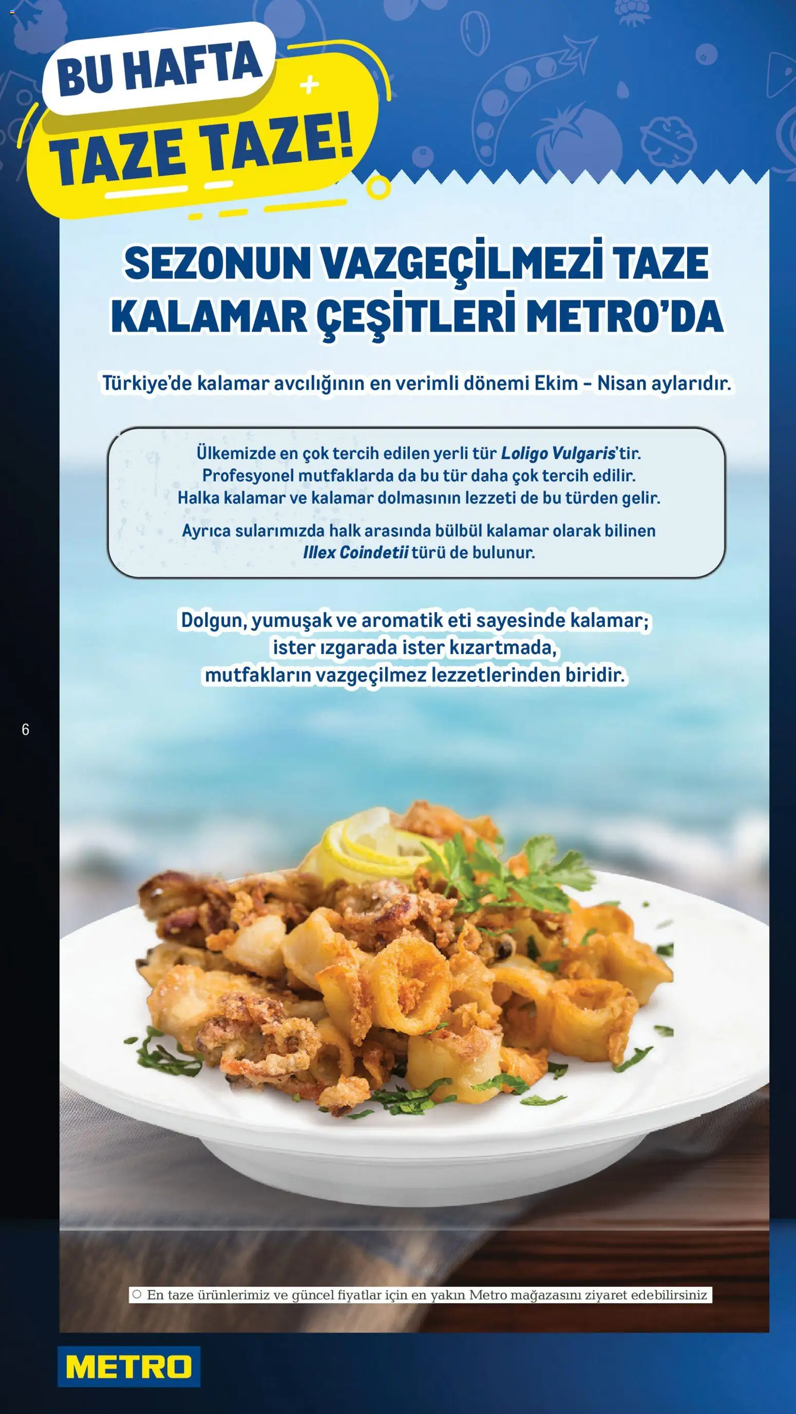 Metro Katalog - 17.12.2025 tarihinden itibaren geçerlidir | Sayfa: 6