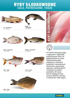 Pogląd oferty "Makro Gazetka - Ultra fresh" - ważna od 01.03.2026 | Strona: 71 | Produkty: Karp, Ryby