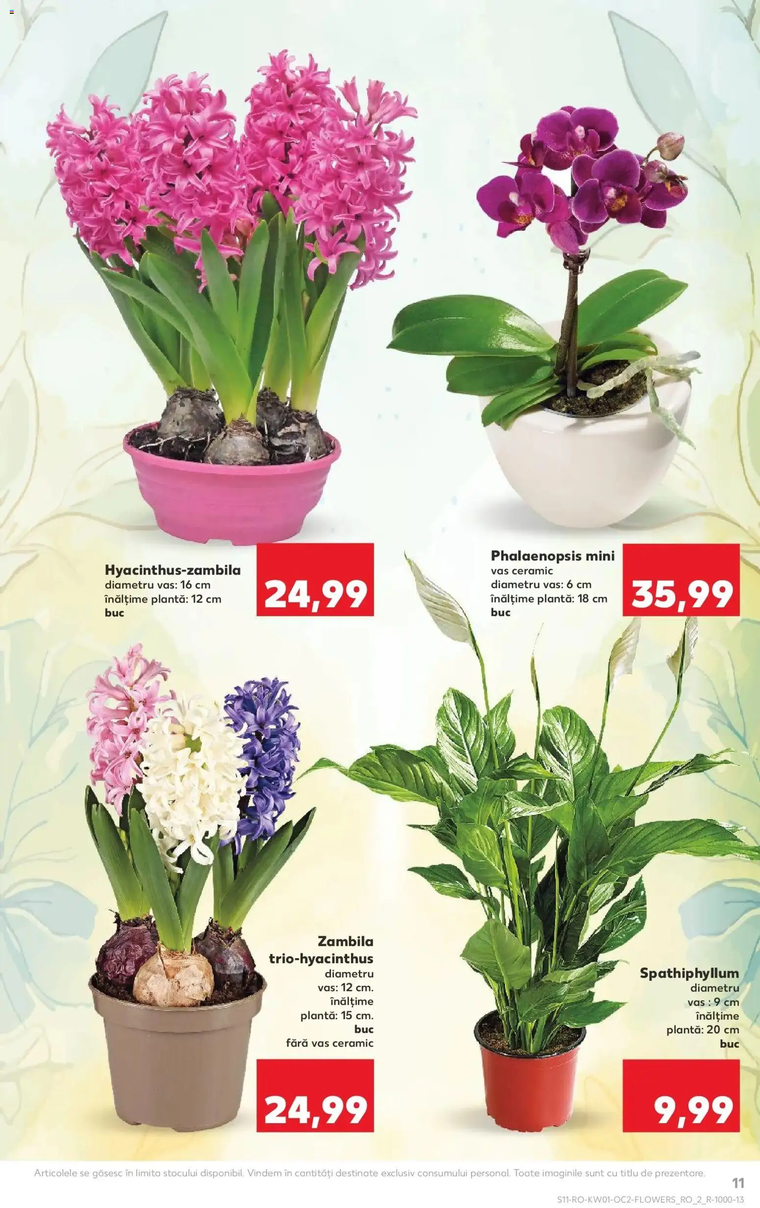 Noul catalog Kaufland – valabil de la 31.12.2025 | Pagină: 11